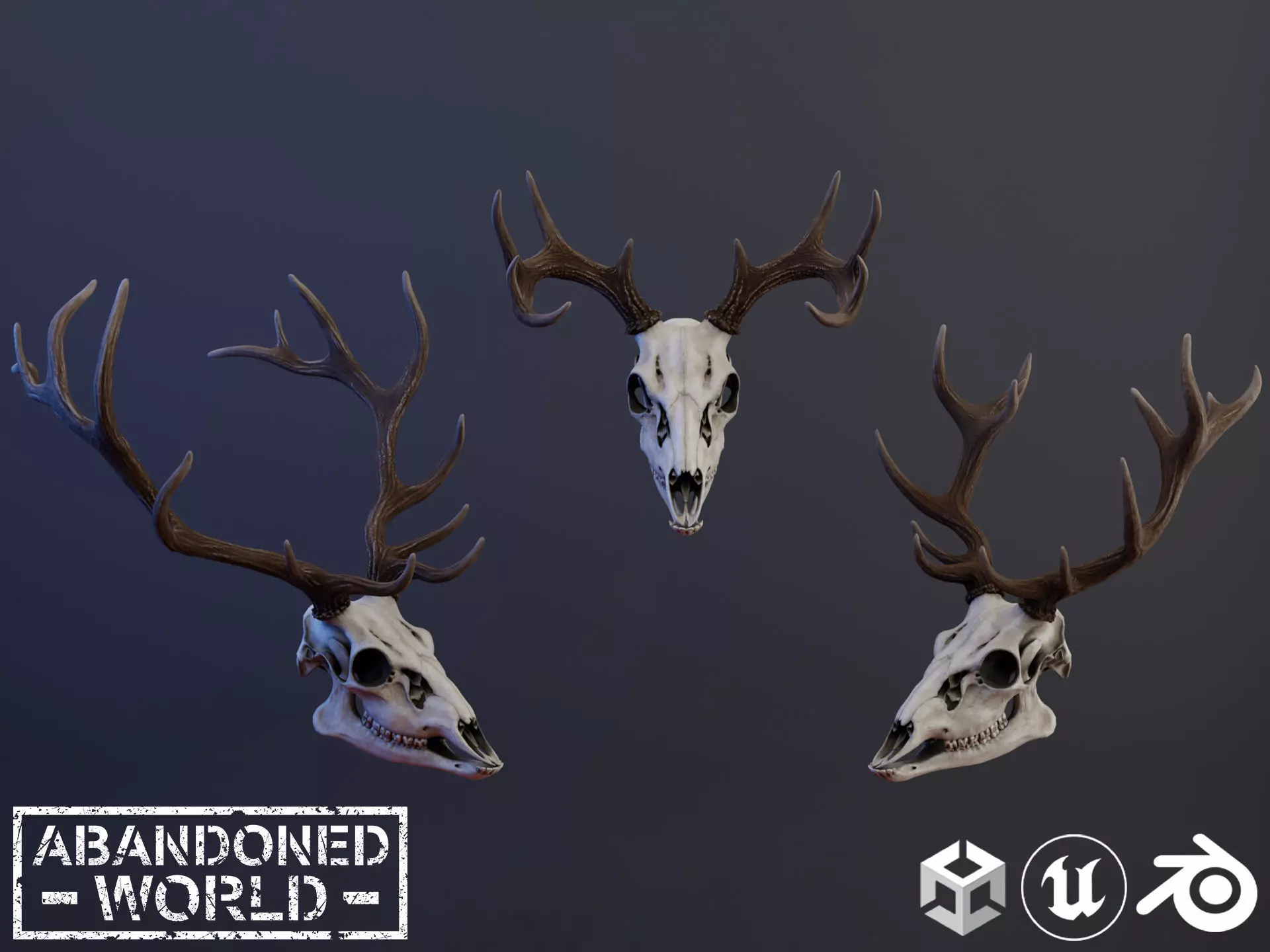 Deer Skull Low-poly 3D model_0