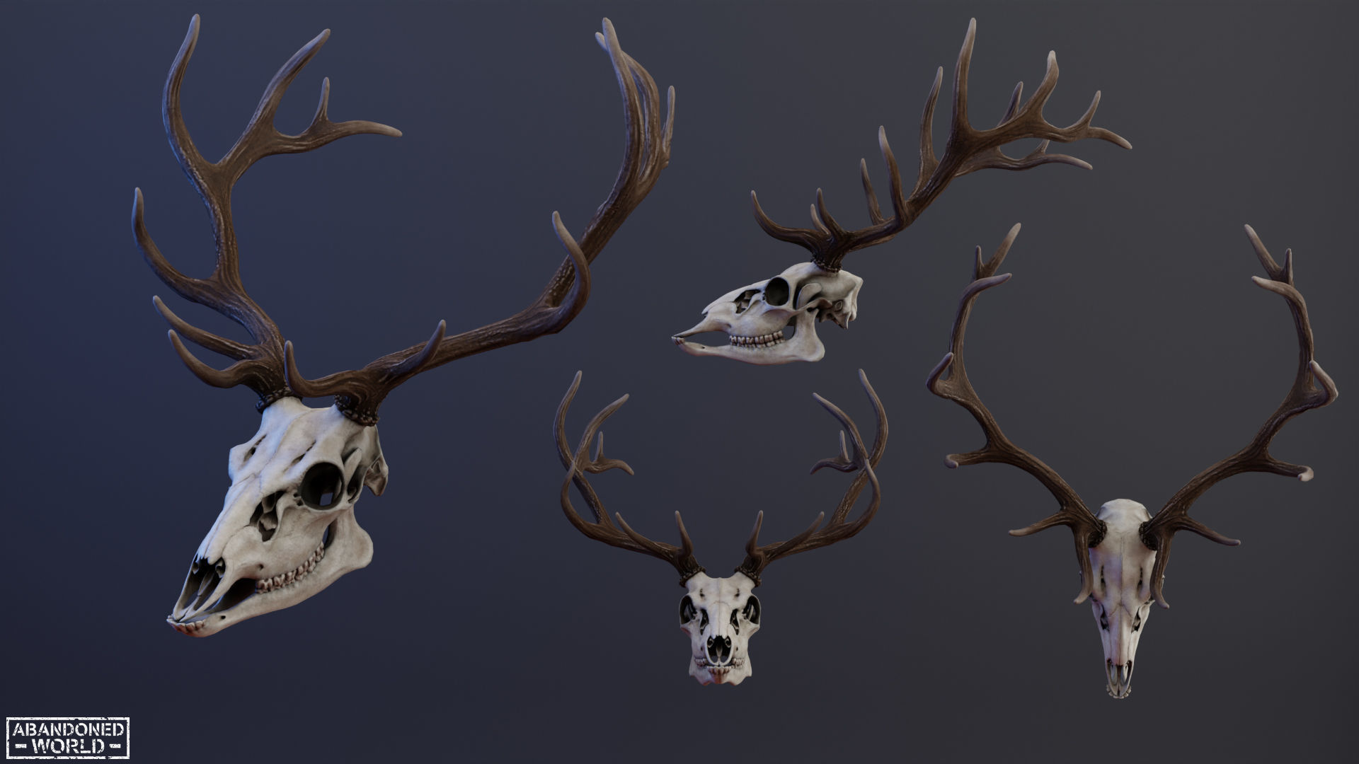Deer Skull Low-poly 3D model_8