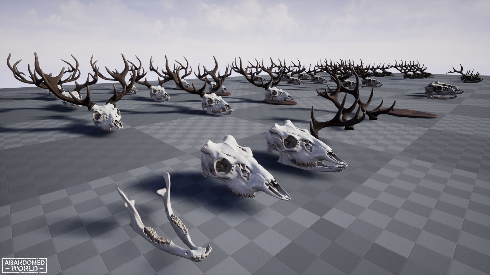 Deer Skull Low-poly 3D model_25