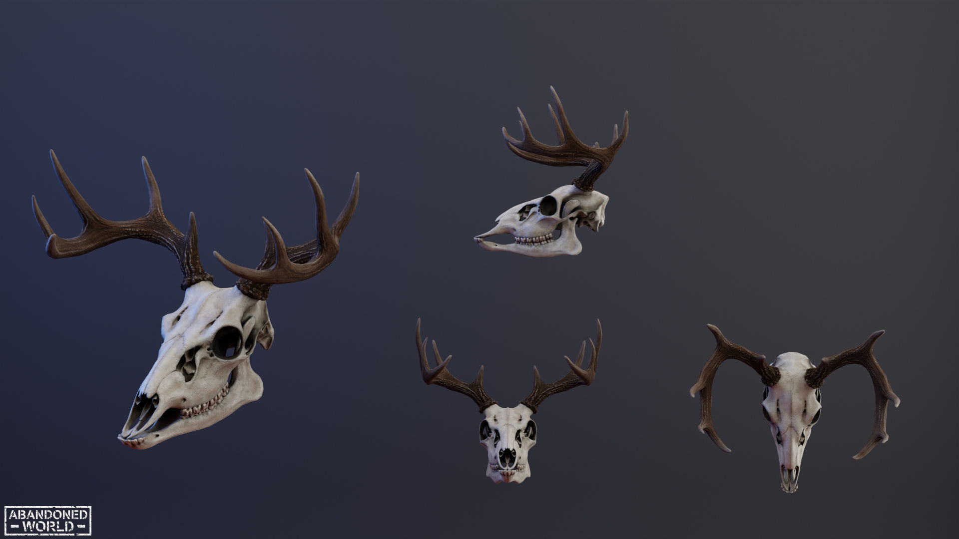 Deer Skull Low-poly 3D model_10