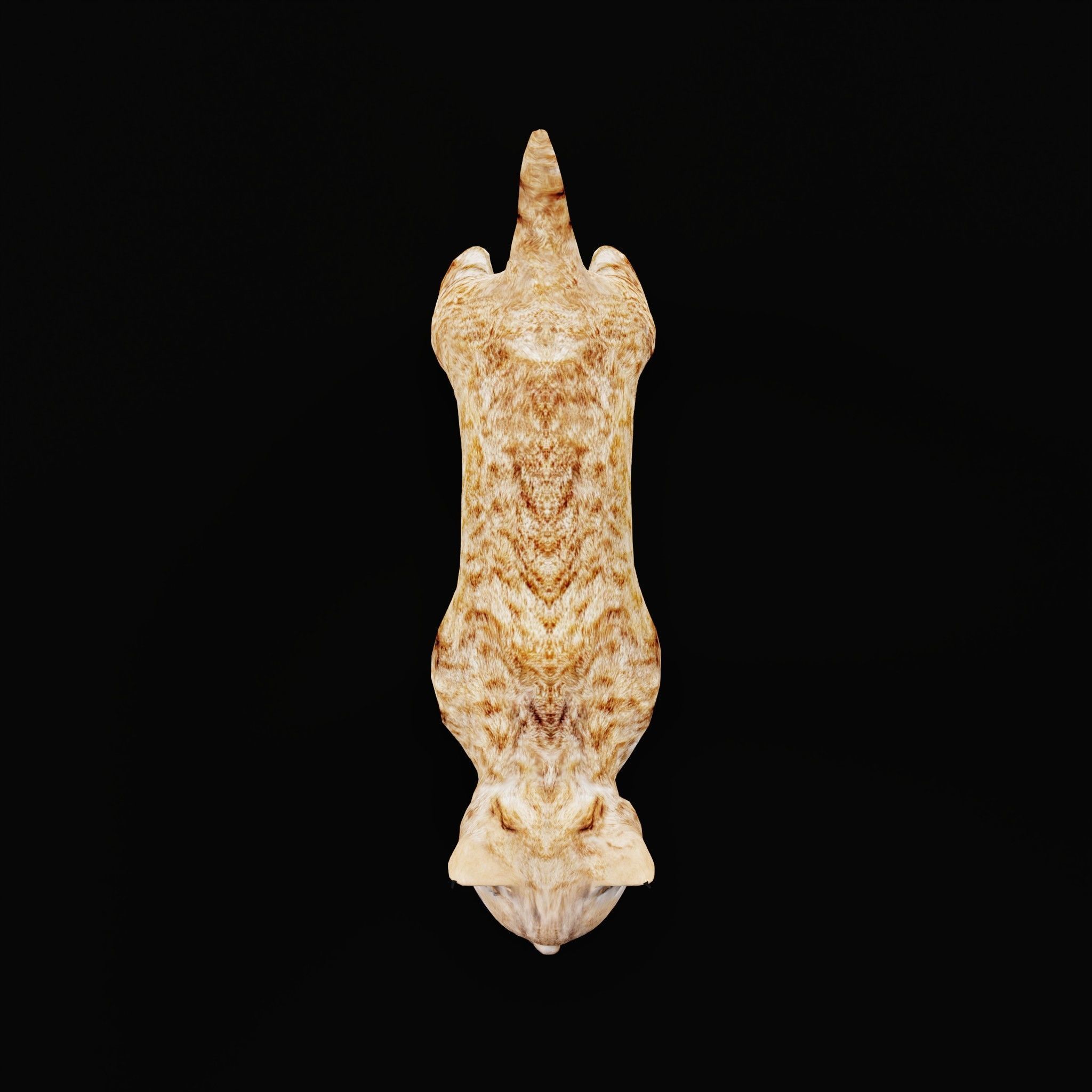 Bobcat Cub Red Lynx 3D model_19