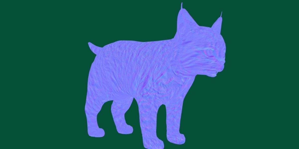 Bobcat Cub Red Lynx 3D model_11