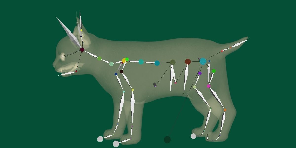 Bobcat Cub Red Lynx 3D model_8