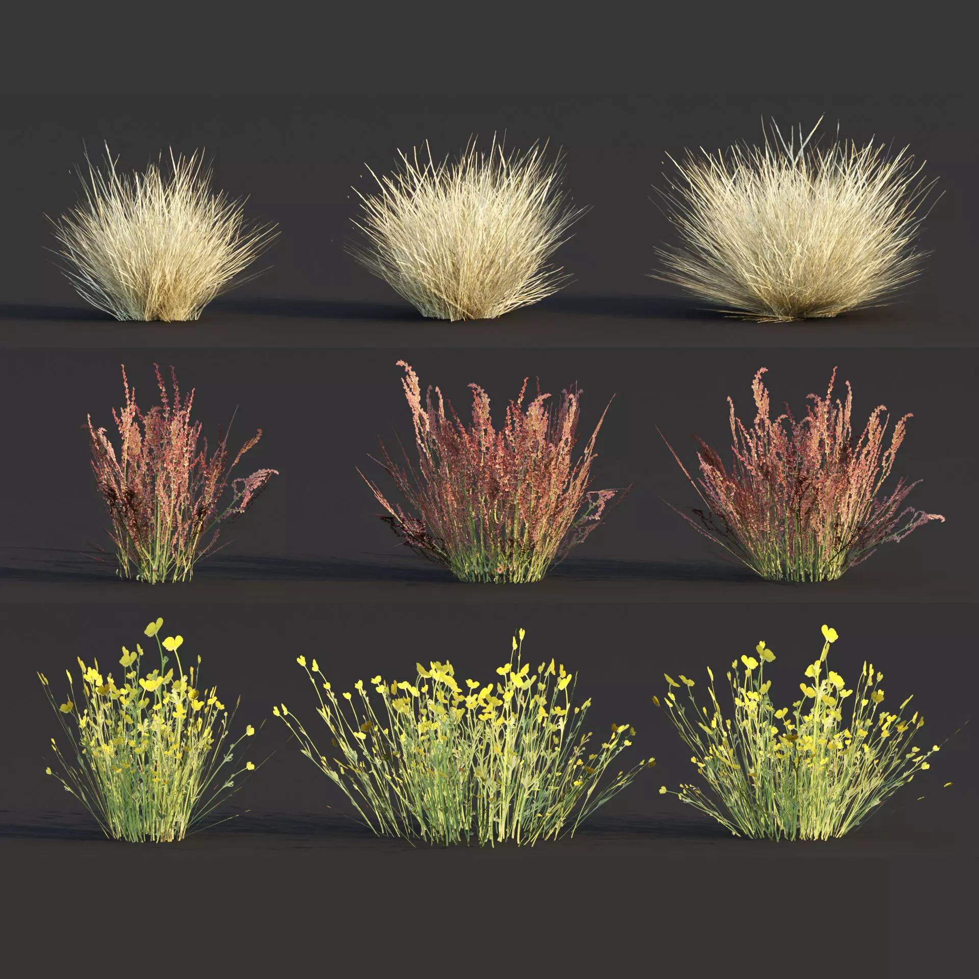 Low poly wild grass collection vol 246 Low-poly 3D model_0