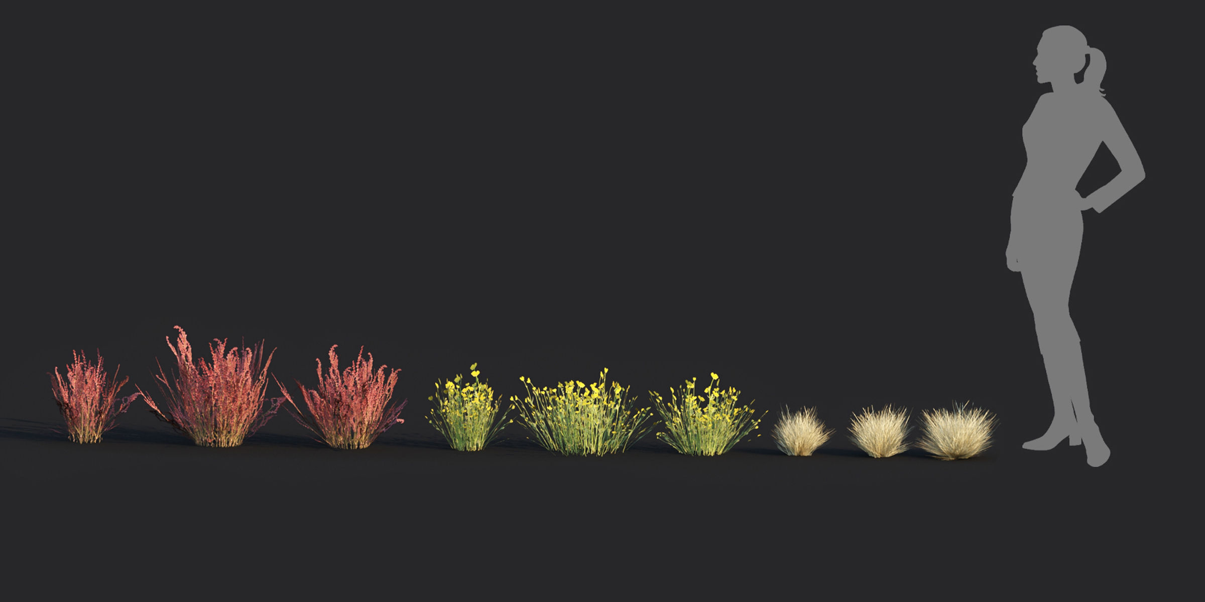 Low poly wild grass collection vol 246 Low-poly 3D model_1