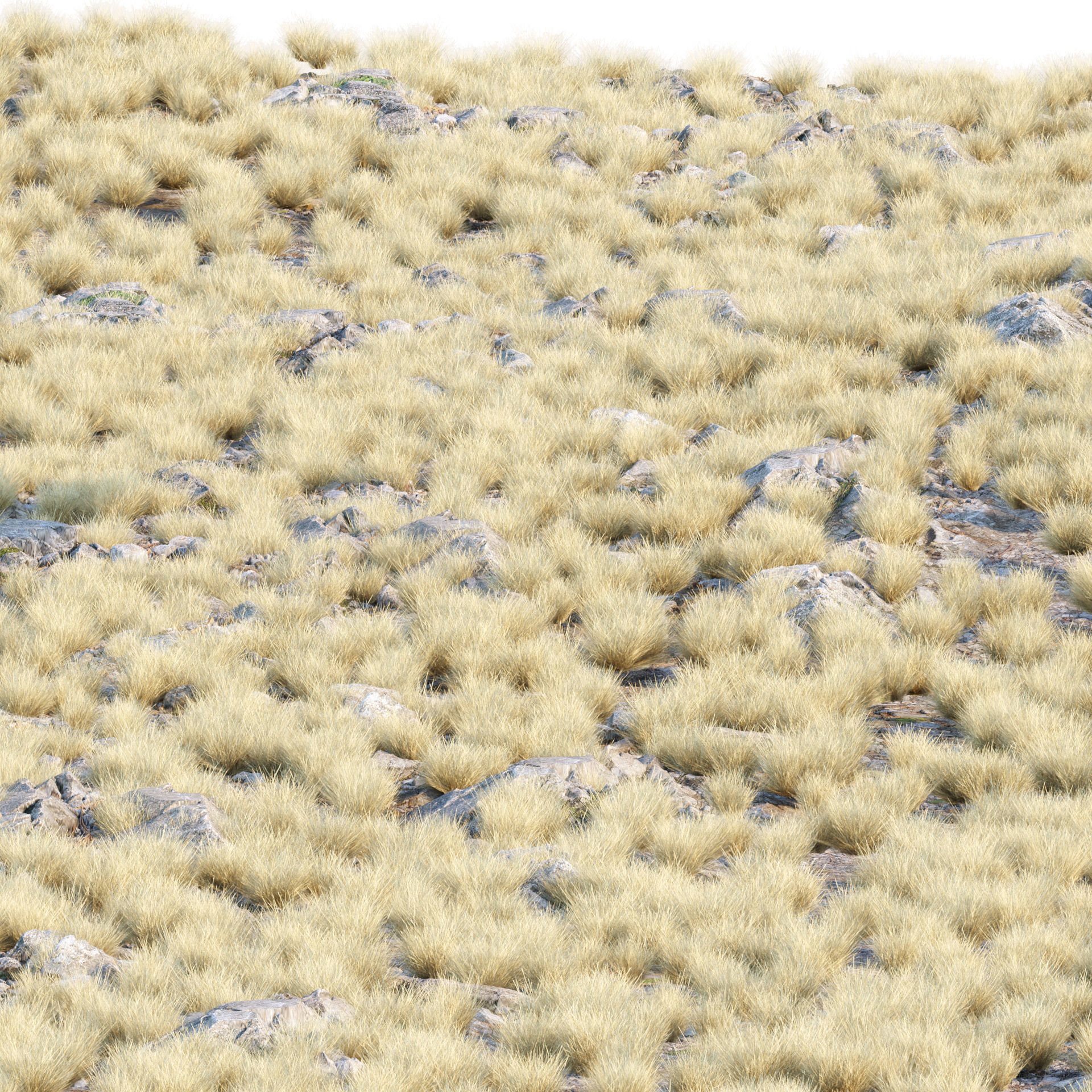 Low poly wild grass collection vol 246 Low-poly 3D model_3