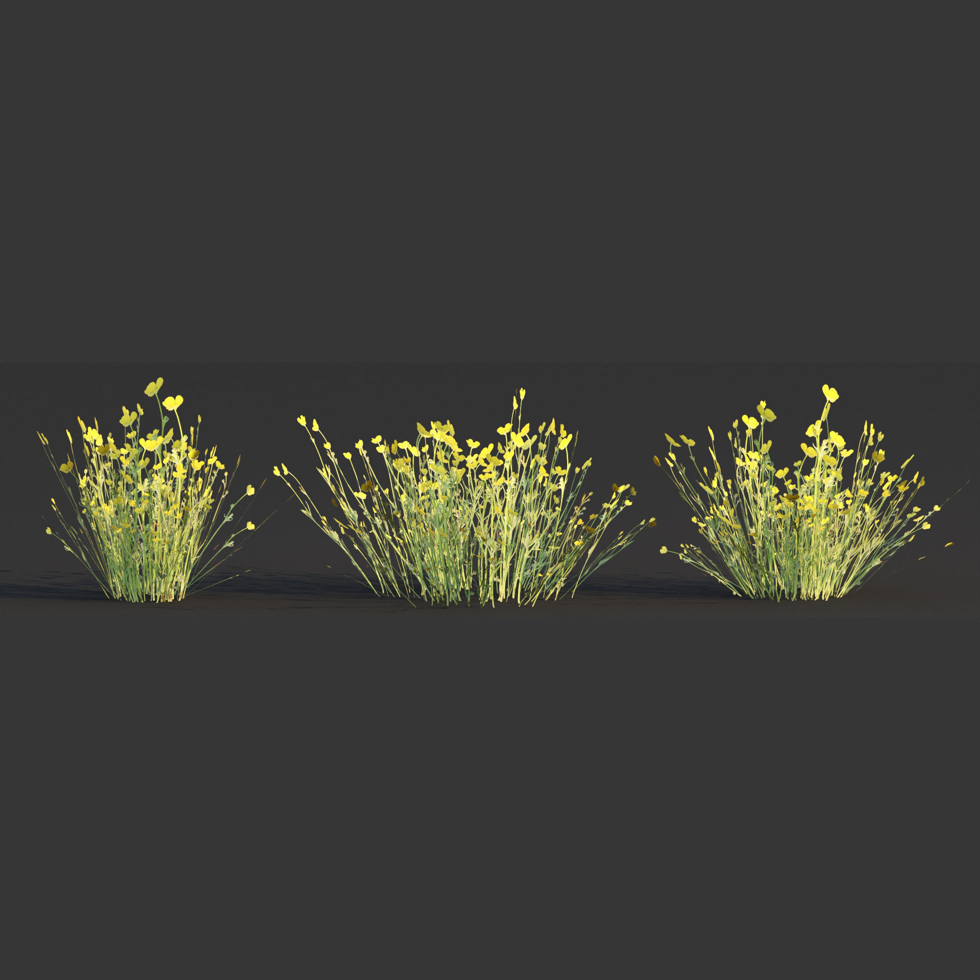 Low poly wild grass collection vol 246 Low-poly 3D model_7