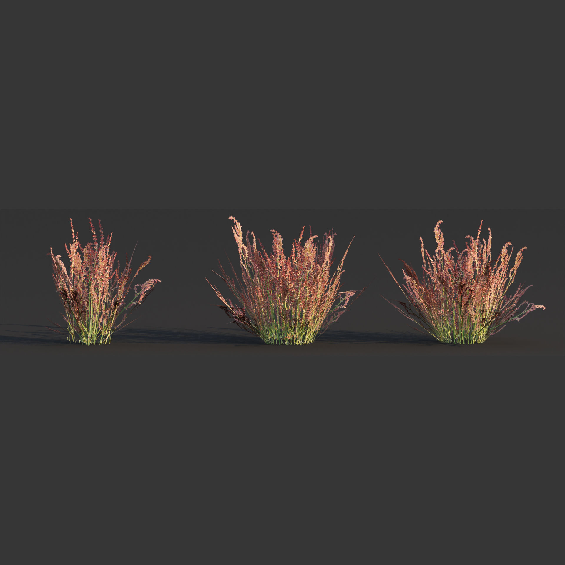 Low poly wild grass collection vol 246 Low-poly 3D model_6