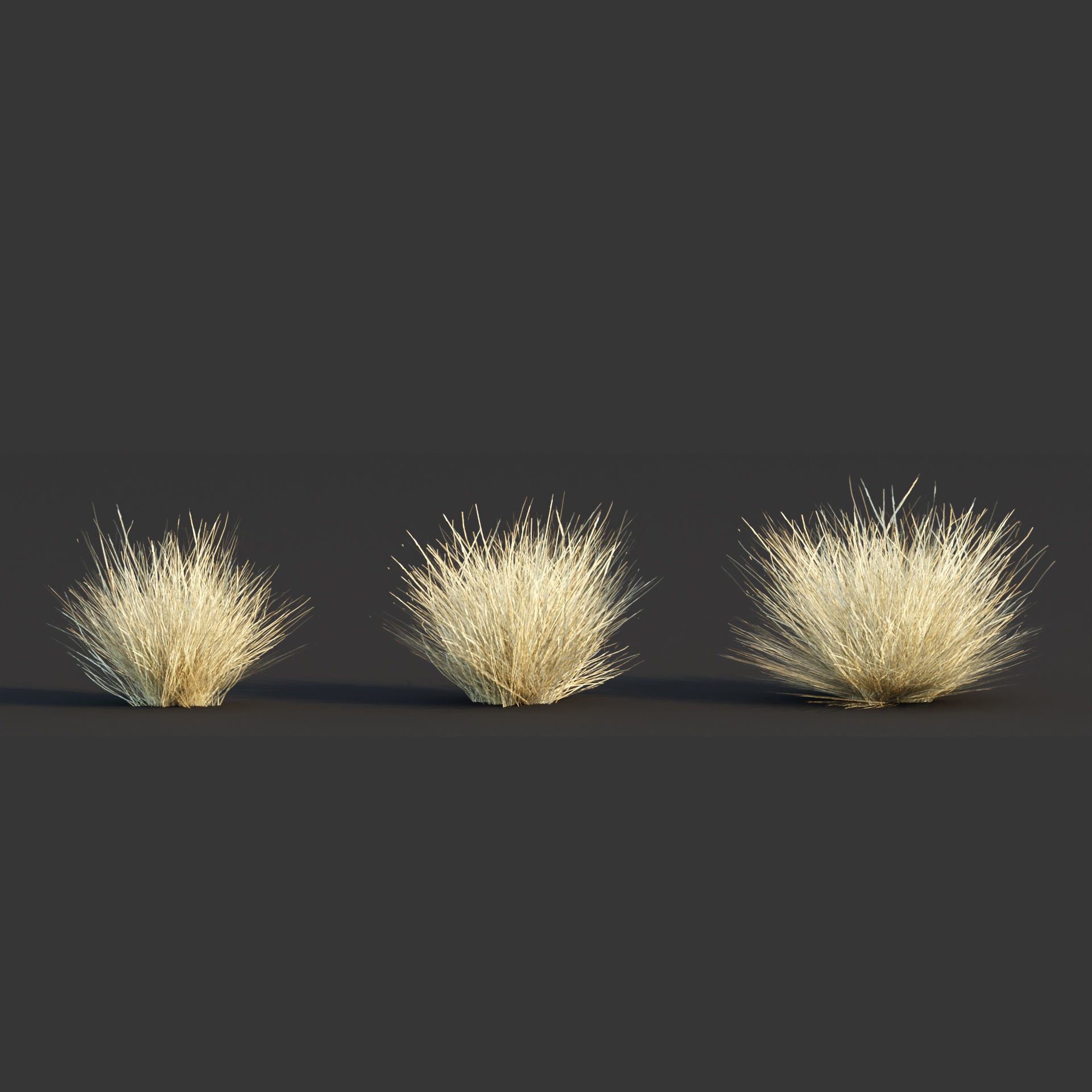 Low poly wild grass collection vol 246 Low-poly 3D model_5