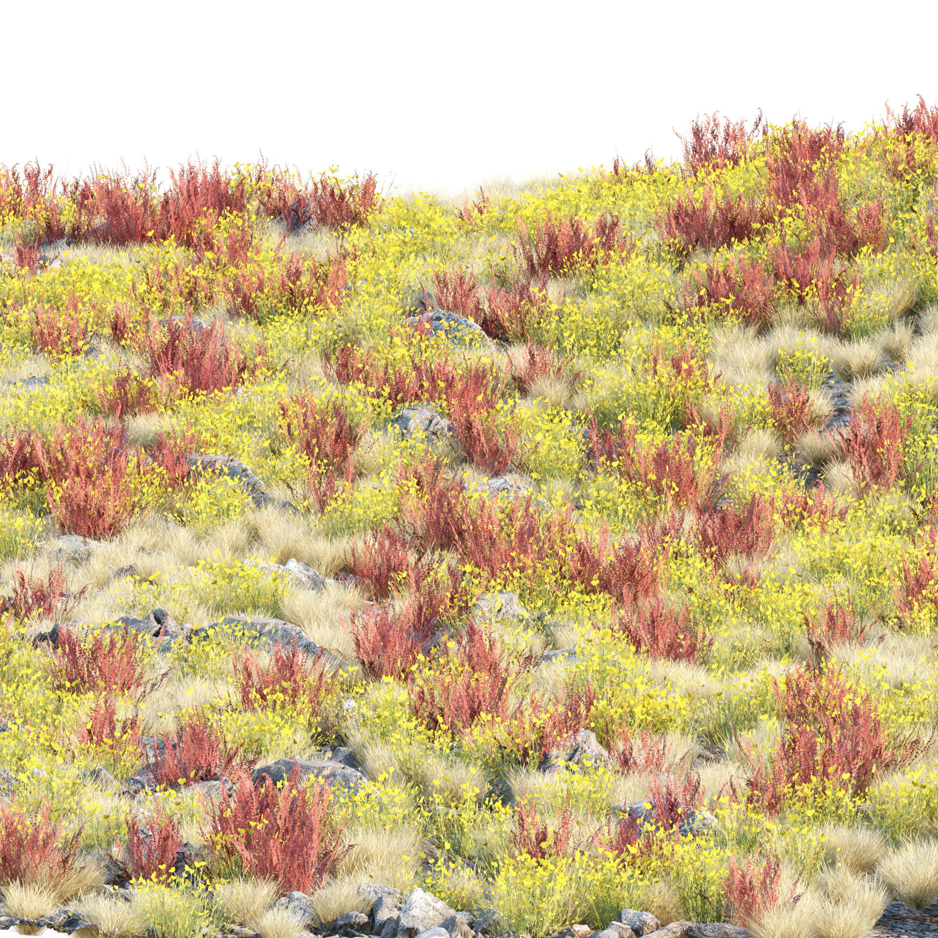 Low poly wild grass collection vol 246 Low-poly 3D model_2