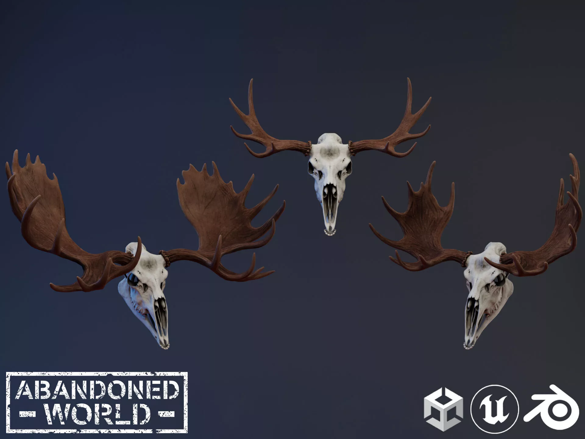 Moose Skull Low-poly 3D model