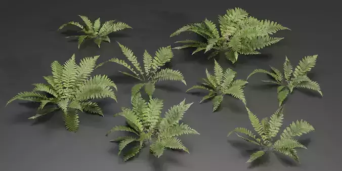 Low Poly Fern Plants Collection vol 217-Blender