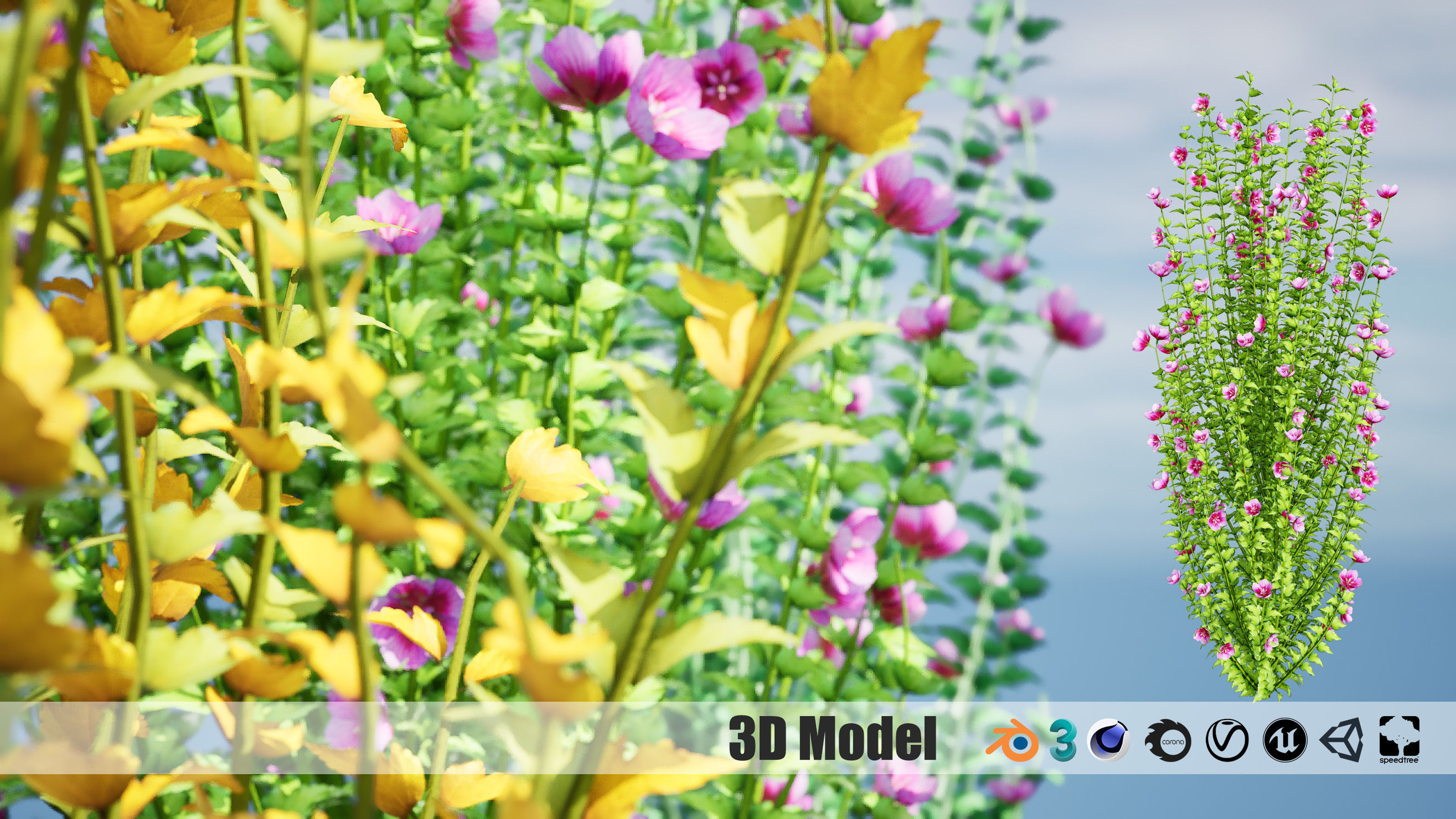 Purple Pillar Rose of Sharon shrub Low-poly 3D model_13