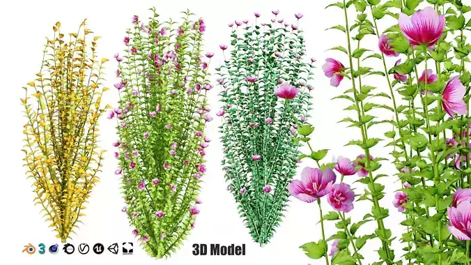 Purple Pillar Rose of Sharon shrub Low-poly 3D model