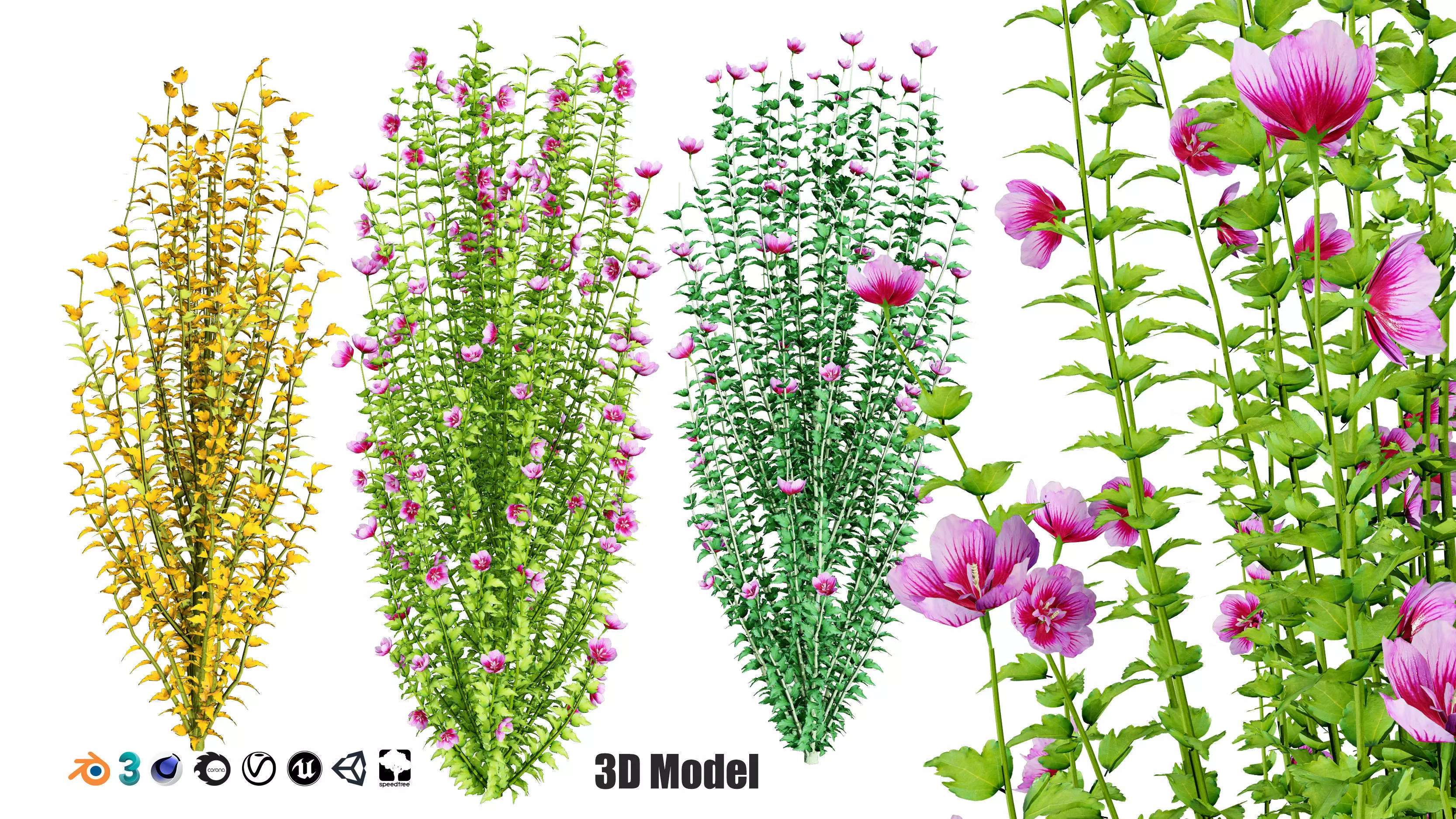 Purple Pillar Rose of Sharon shrub Low-poly 3D model_0