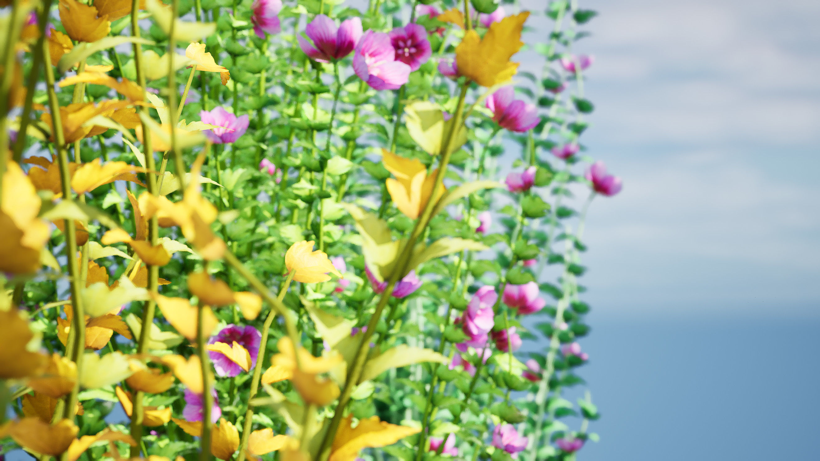 Purple Pillar Rose of Sharon shrub Low-poly 3D model_4