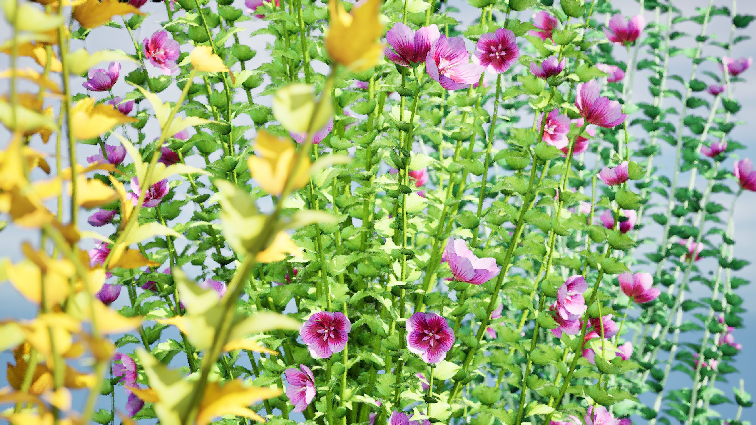 Purple Pillar Rose of Sharon shrub Low-poly 3D model_3