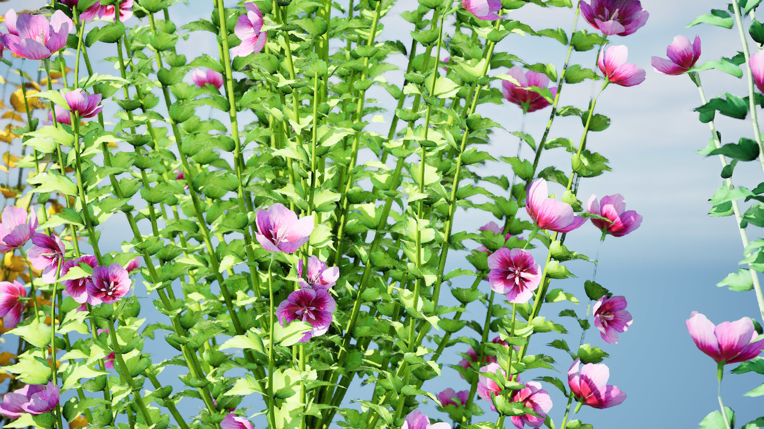 Purple Pillar Rose of Sharon shrub Low-poly 3D model_2