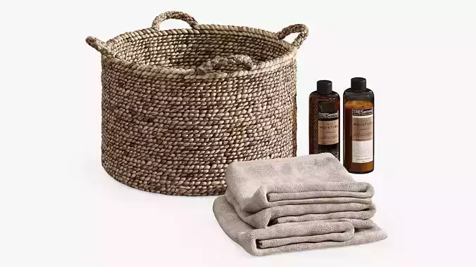 Raga basket with towels and shampoo 3D model