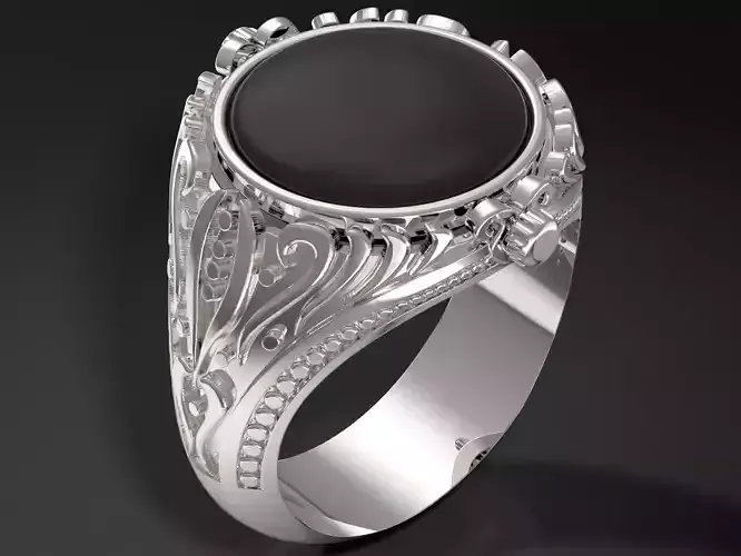 spinning ring 3D print model