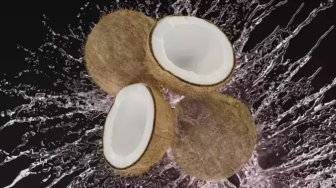 high quality coconut 