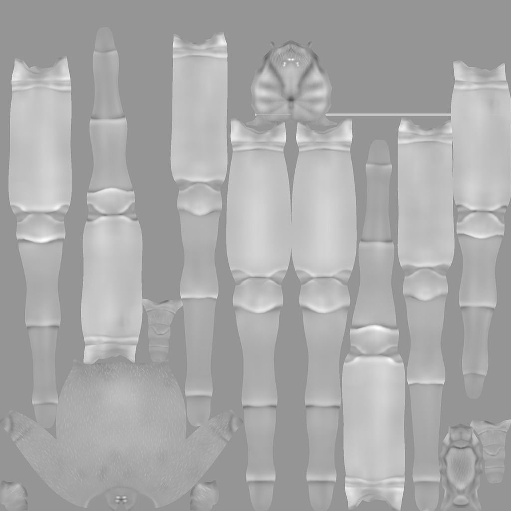 Brown Recluse Spider Low-poly 3D model_13