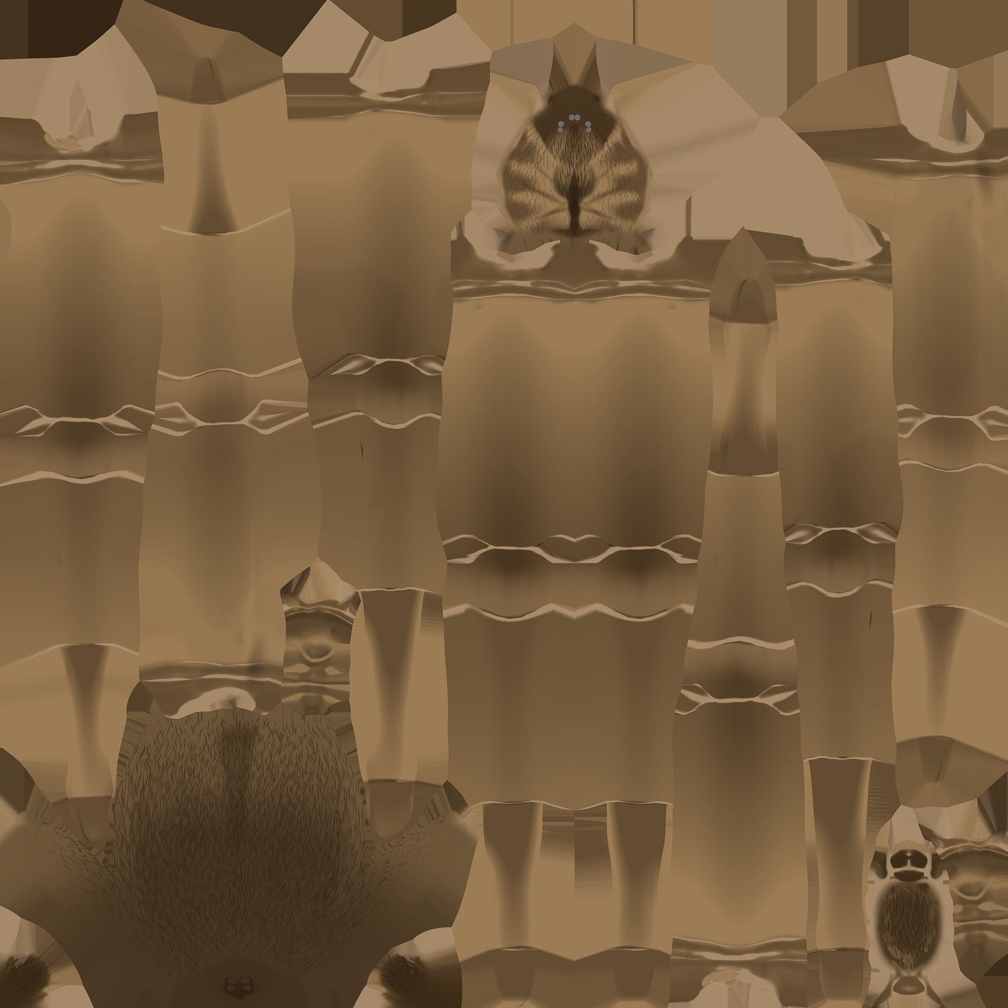 Brown Recluse Spider Low-poly 3D model_12