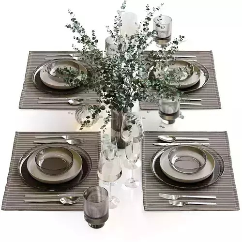 Table setting 43