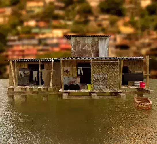 Third world house 3D