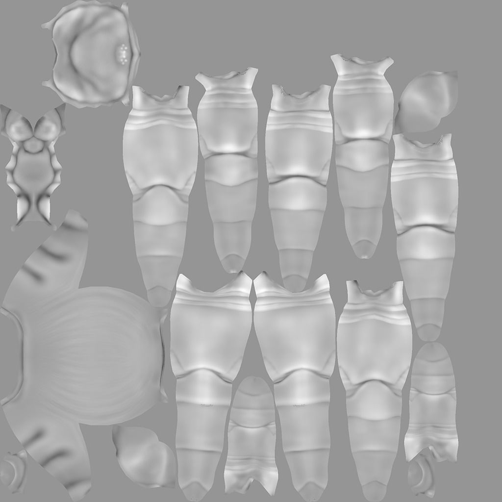 Trapdoor Spider Low-poly 3D model_12