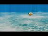 Nemo Fish Low-poly 3D model_1