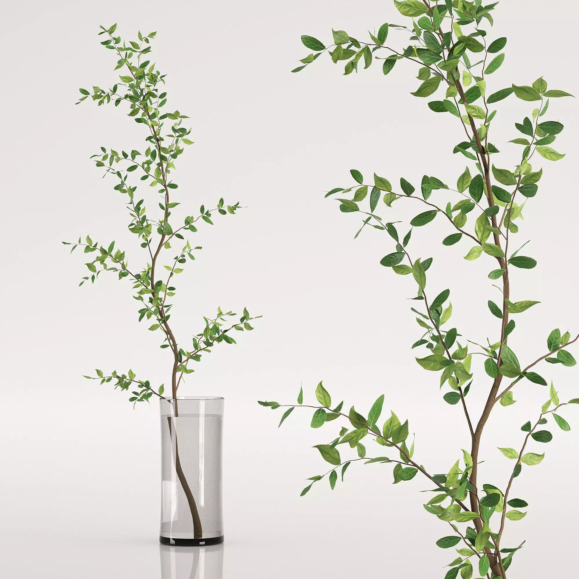 Plants bouquet set 17 Low-poly 3D model