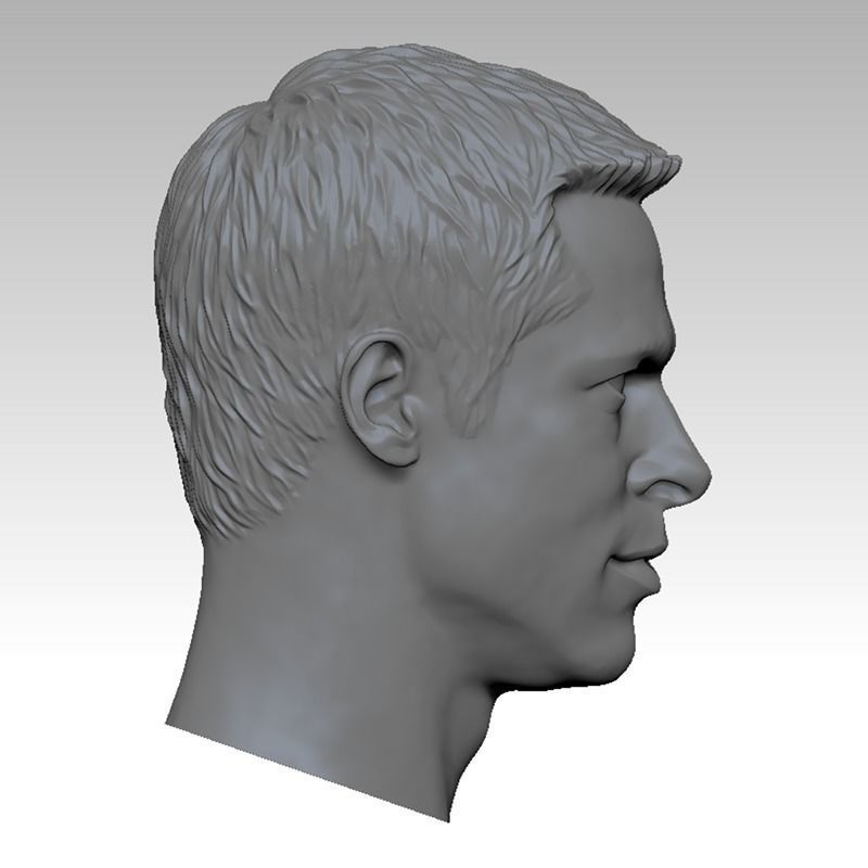The Fight Club Brad Pitt Head sculpture 3D print model 3D print model_1