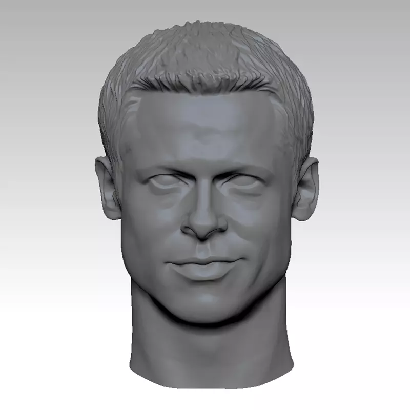 The Fight Club Brad Pitt Head sculpture 3D print model 3D print model_0