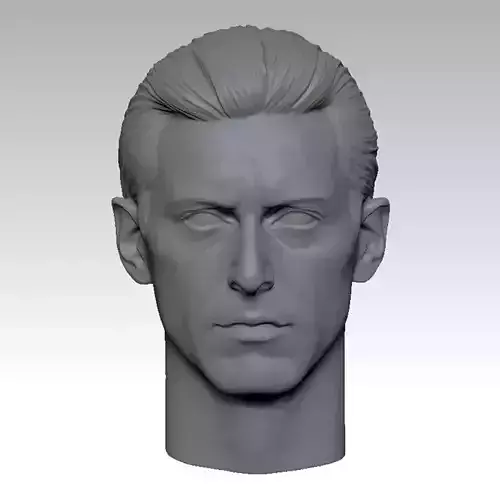 The Godfather 2 Al Pacino 1 Head sculpture 3D print model