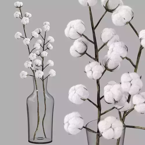  cotton bouquet   3D model