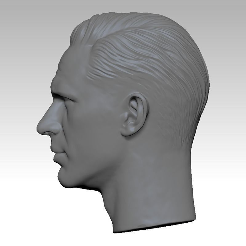 The Legend Tom Hardy Head sculpture 3D print model 3D print model_3