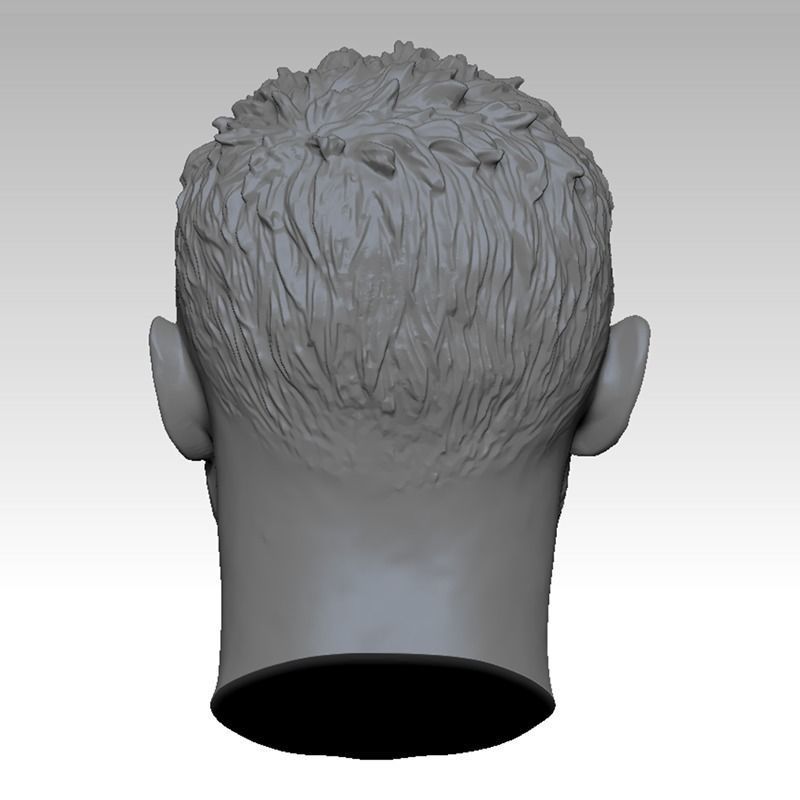 The Mad Max 4 Tom Hardy Head sculpture 3D print model 3D print model_3