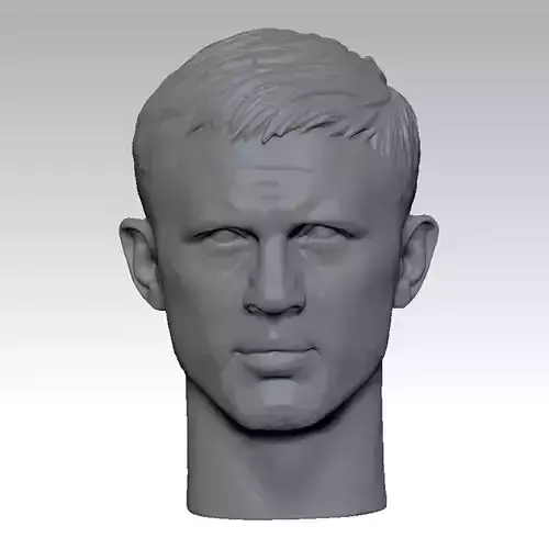 The Venom Tom Hardy Head sculpture 3D print model