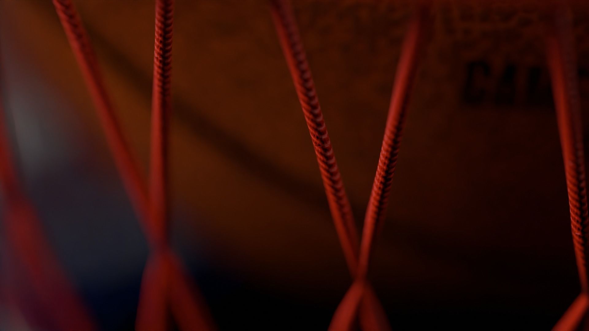 Basketball and Hoop 3D model_1