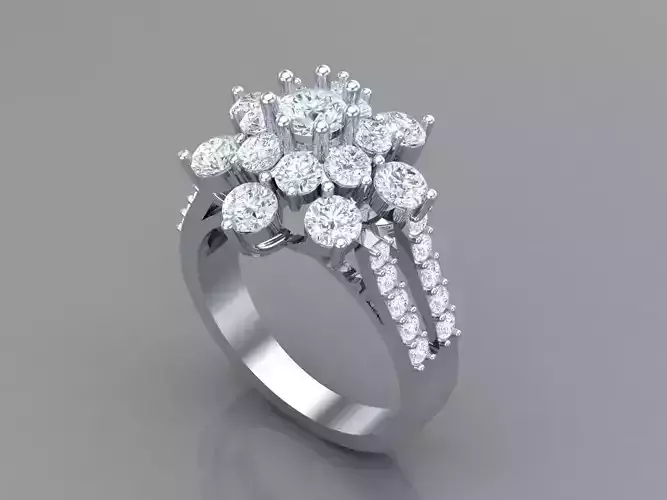 Premium Engagement Rings 1WR170 3D print model