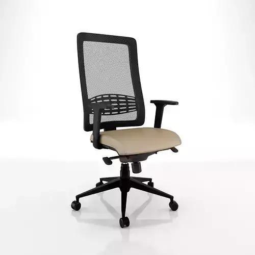 Ergonomic office chair kind