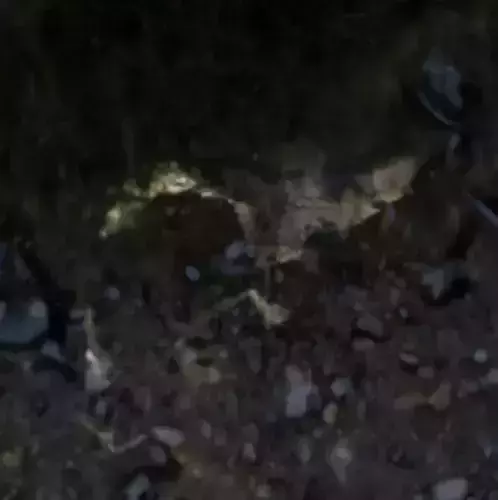 water animated material