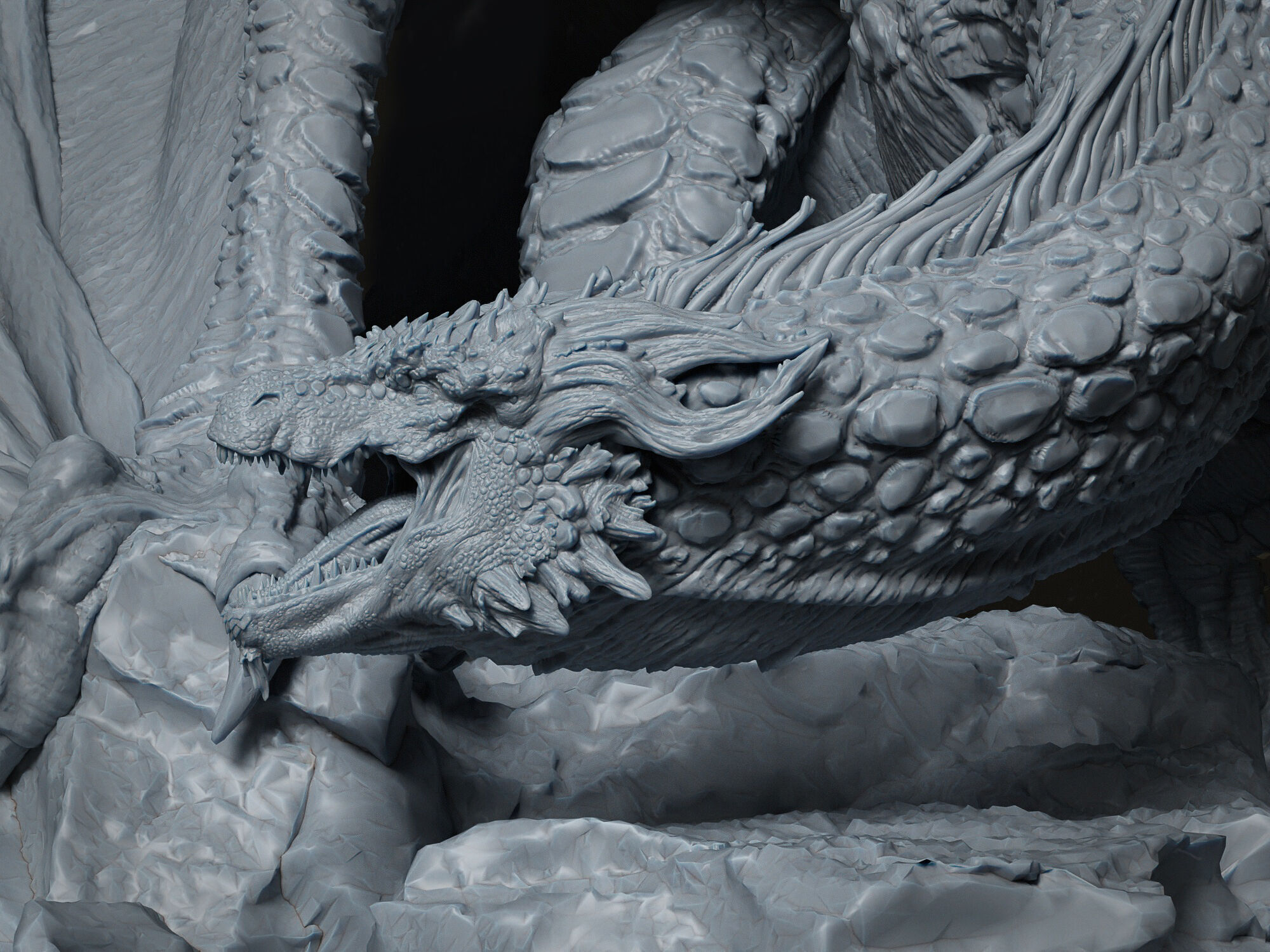 wyvern dragon 3D print model_1