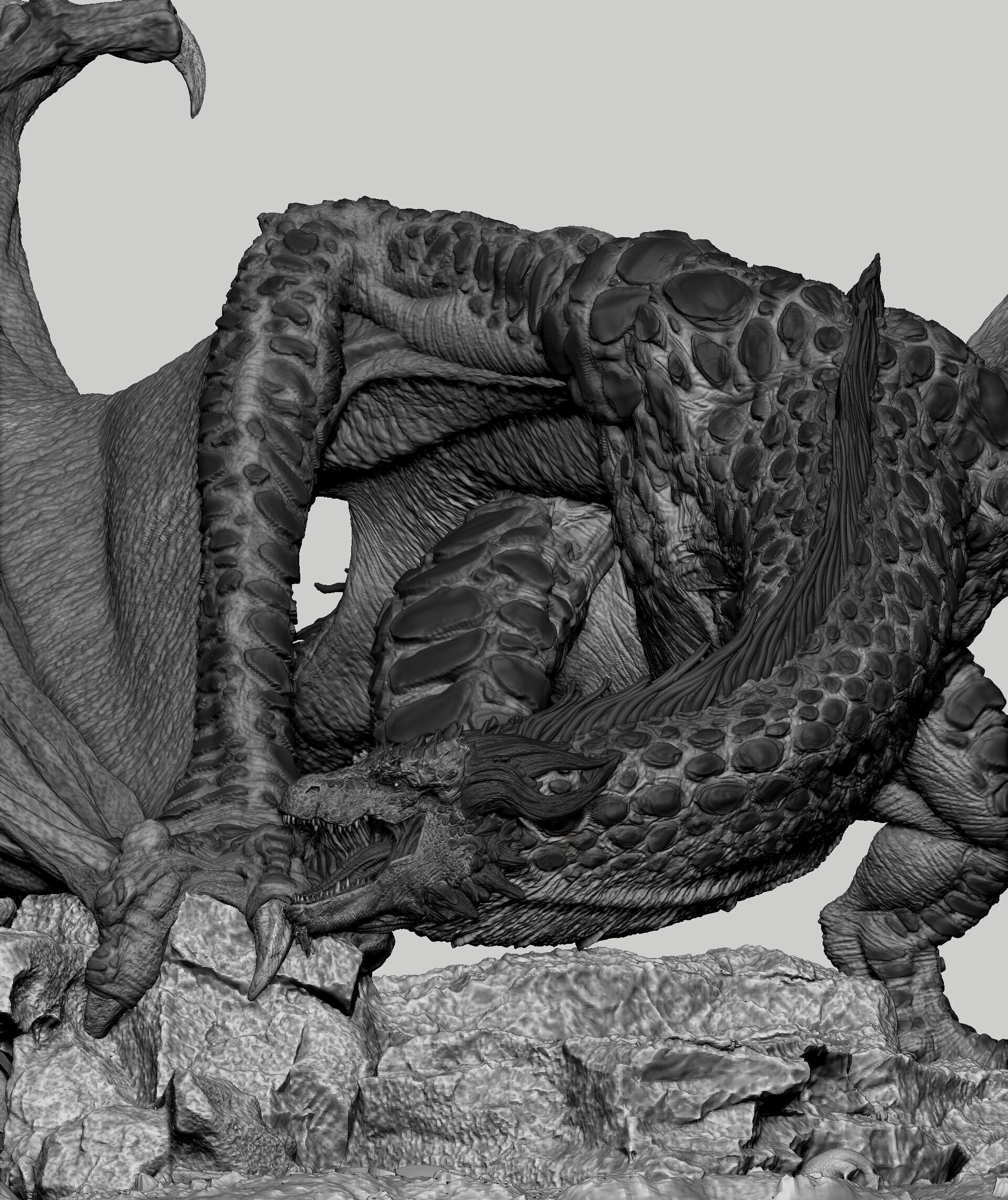wyvern dragon 3D print model_5
