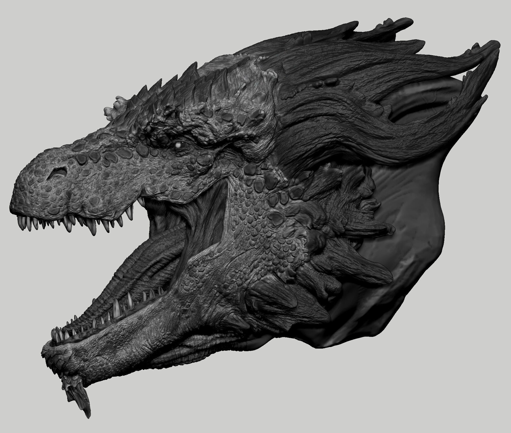 wyvern dragon 3D print model_6