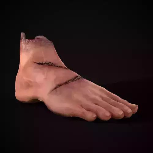 Severed Male Foot Low-poly 3D model