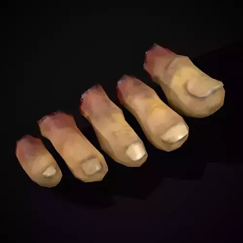 Severed Toes Set Low-poly 3D model