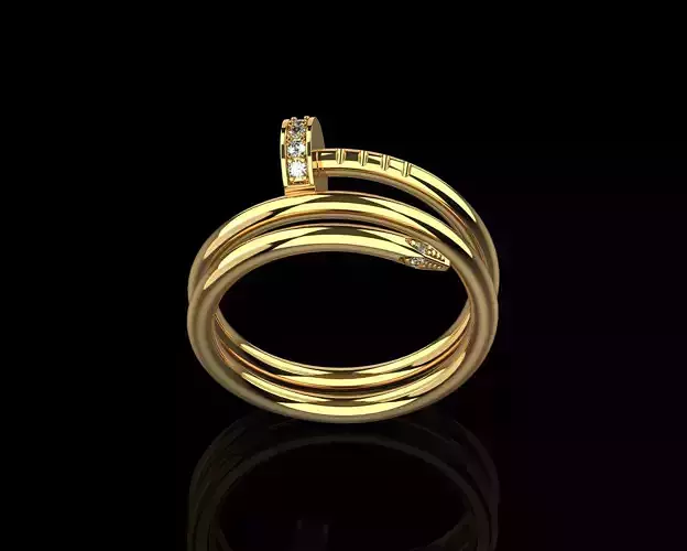 Juste un Clou ring double 16 Size N168 3D print model