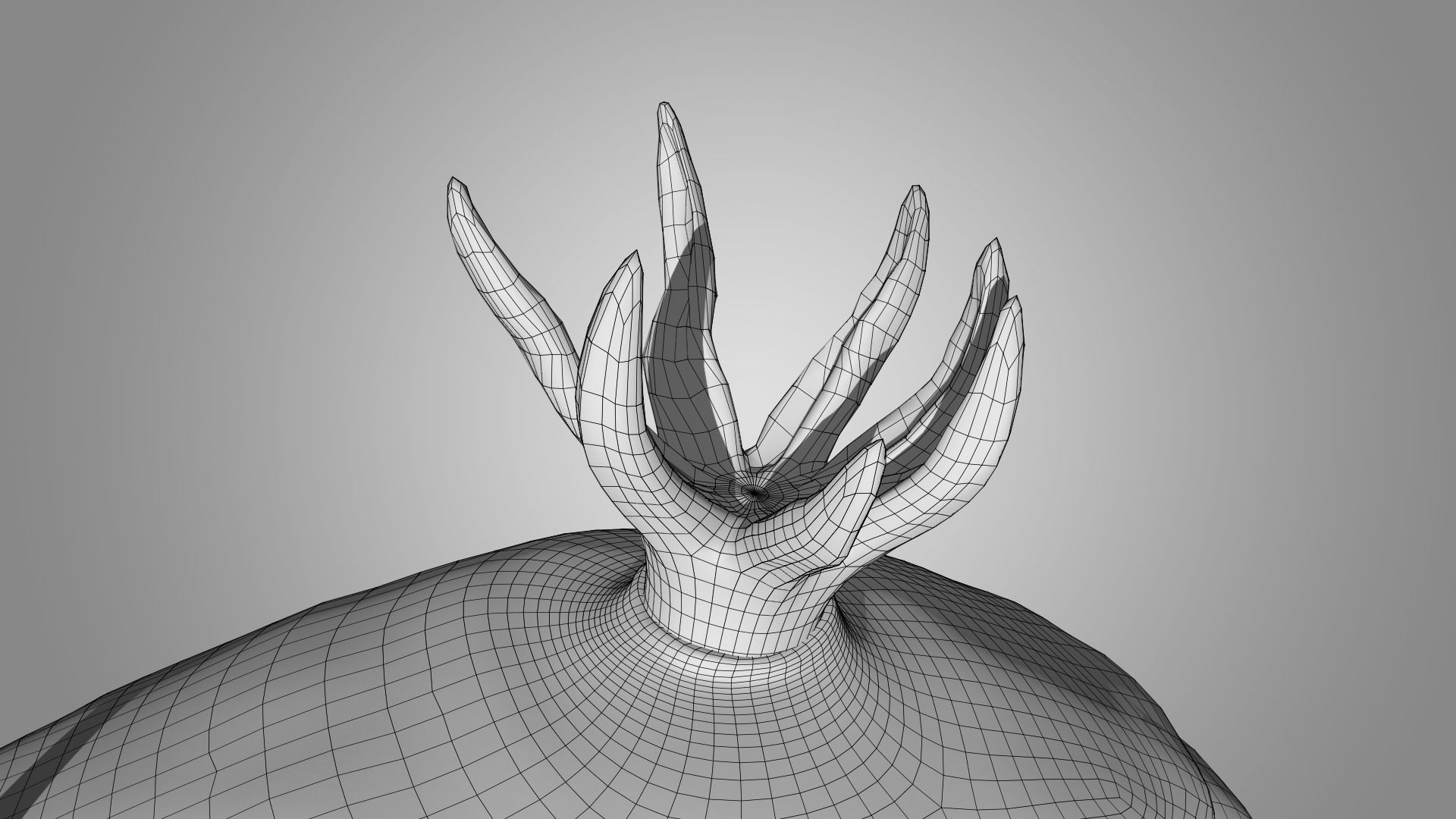 Sea Slug - Nudibranch 3D model_9